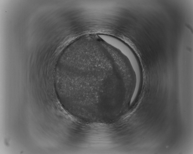 X0000099480577200806061247