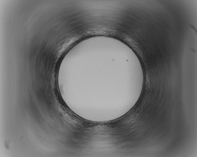 X0000099480578200806061247