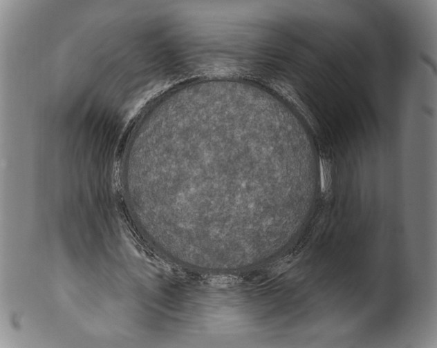 X0000099480579200806061247