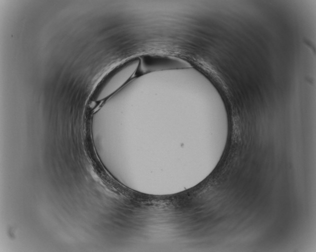X0000099480580200806061247