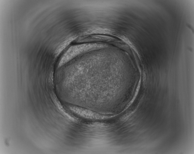 X0000099480581200806061247