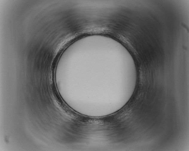 X0000099480582200806061247