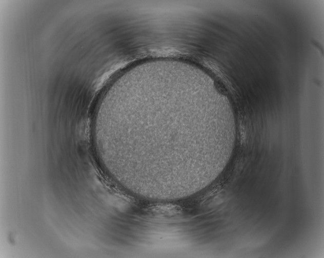 X0000099480583200806061247
