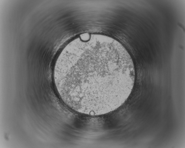 X0000099480584200806061247