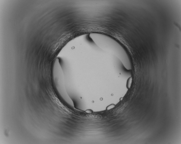 X0000099480585200806061247
