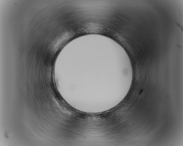 X0000099480586200806061247