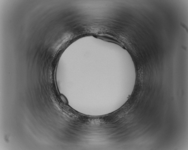 X0000099480587200806061247