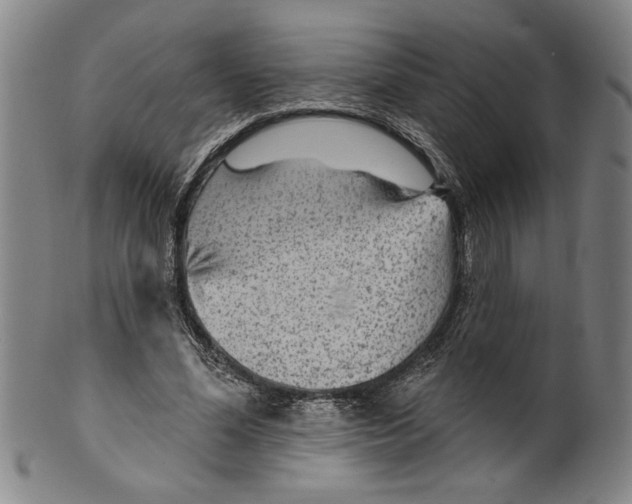 X0000099480588200806061247