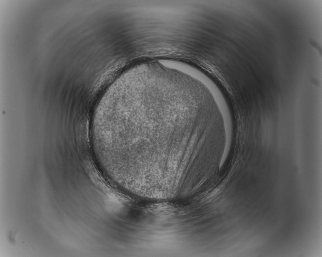 X0000099480589200806061247