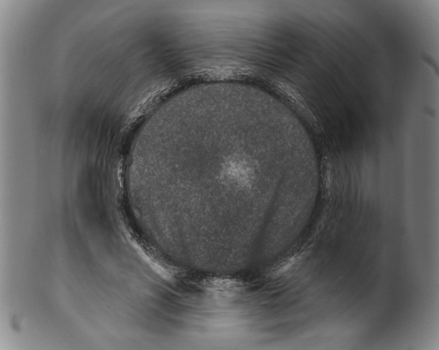 X0000099480590200806061247