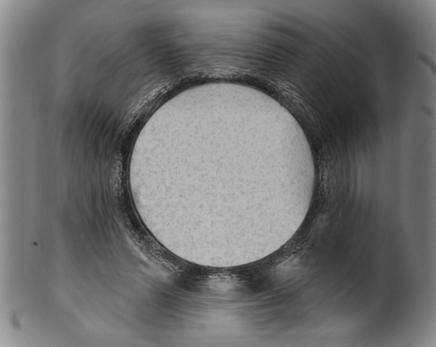 X0000099480591200806061247