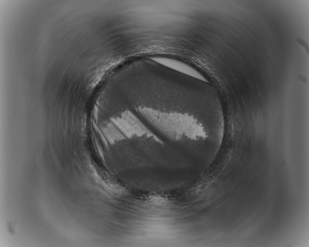X0000099480592200806061247