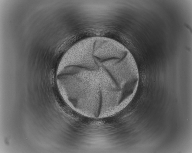 X0000099480594200806061247