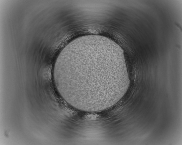 X0000099480595200806061247