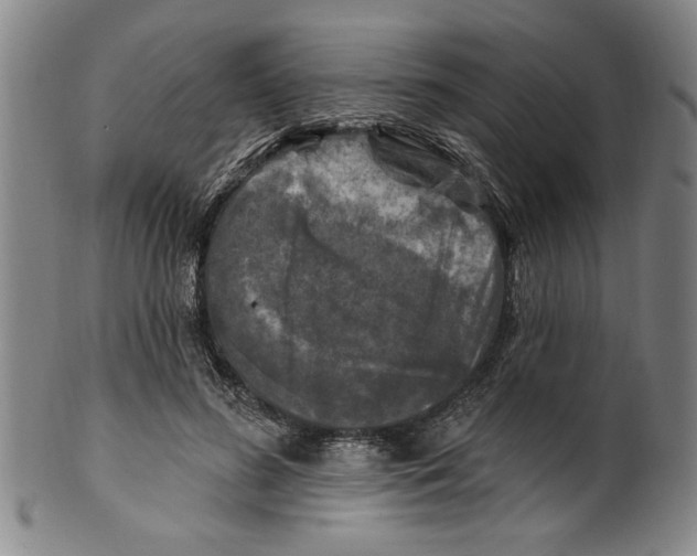 X0000099480596200806061247