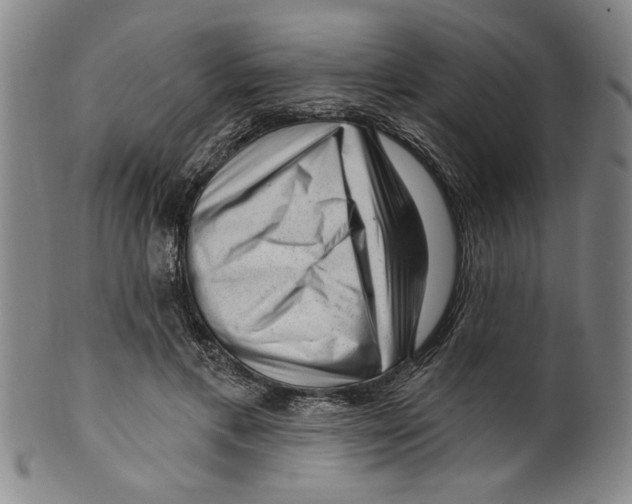X0000099480597200806061247
