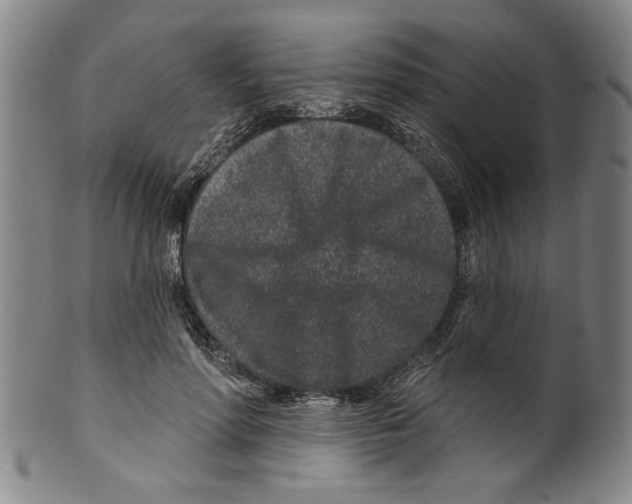 X0000099480598200806061247