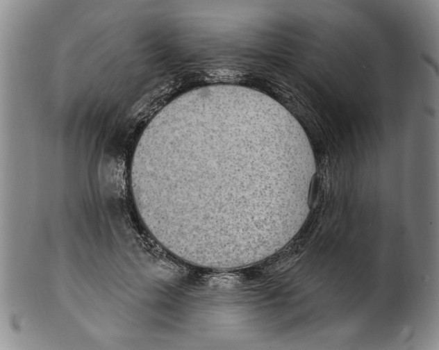 X0000099480599200806061247