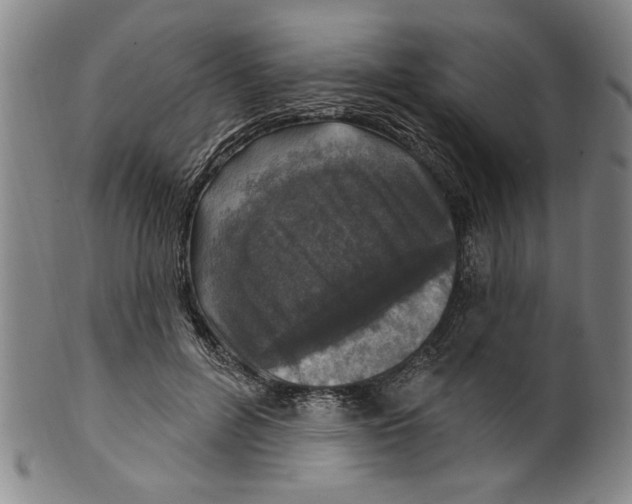 X0000099480600200806061247
