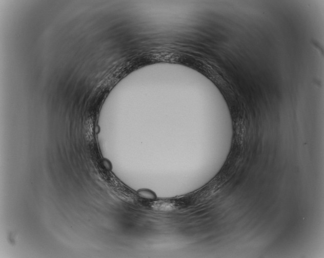 X0000099480602200806061247