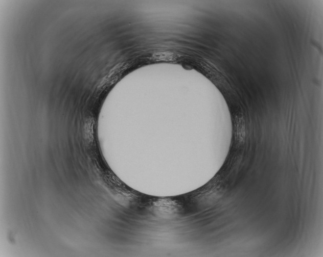 X0000099480603200806061247