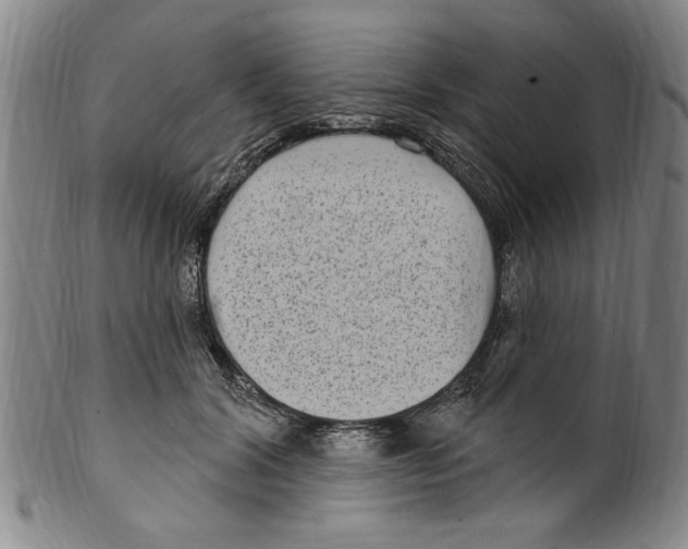 X0000099480604200806061247