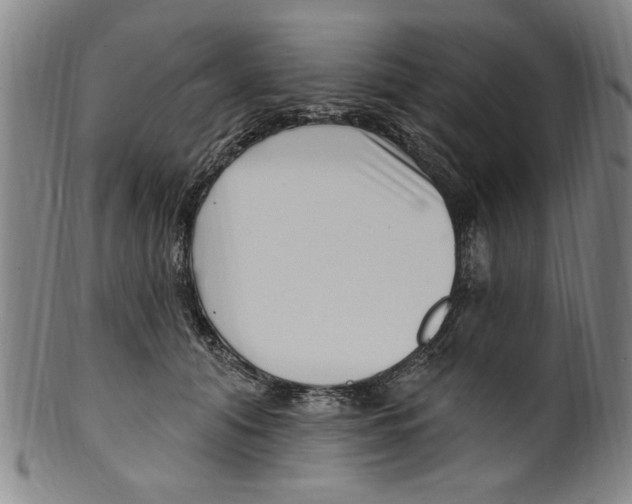 X0000099480608200806061247