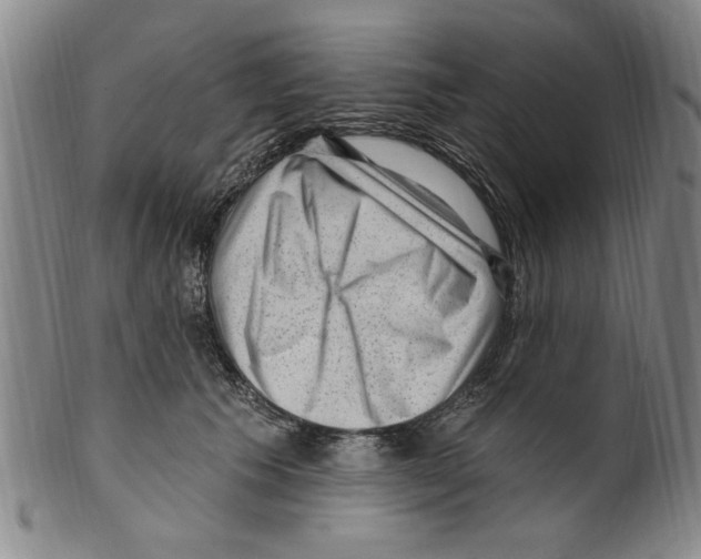 X0000099480609200806061247