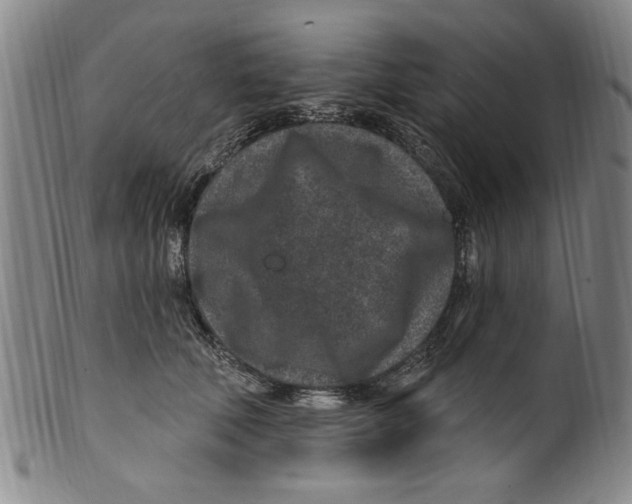 X0000099480610200806061247