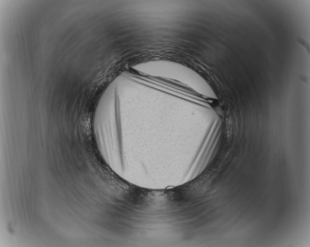 X0000099480613200806061247