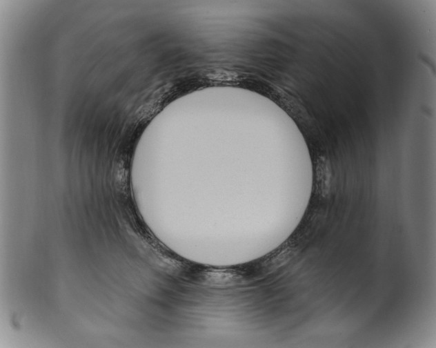 X0000099480614200806061247