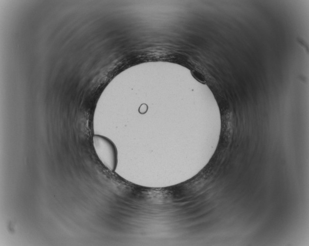 X0000099480615200806061247