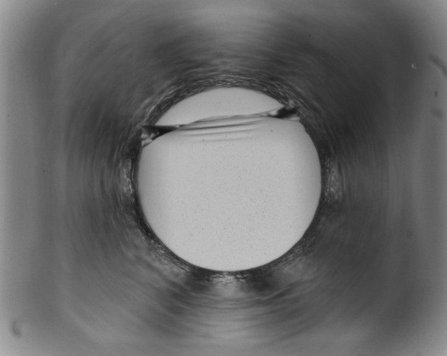 X0000099480616200806061247