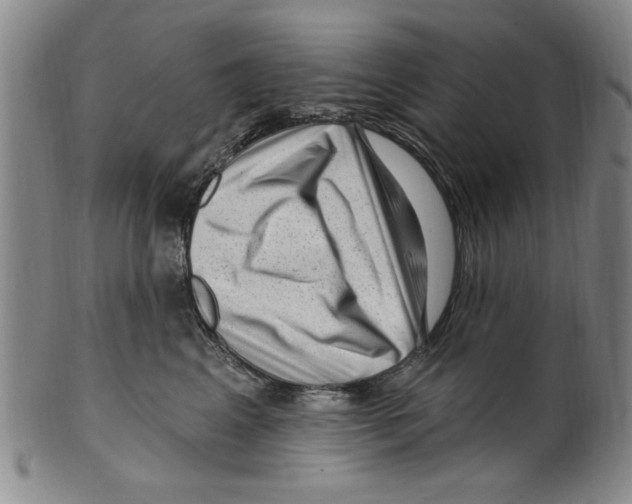 X0000099480617200806061247