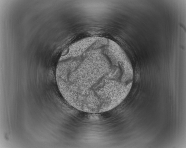 X0000099480618200806061247