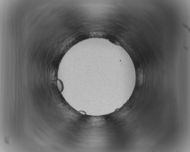 X0000099480619200806061247