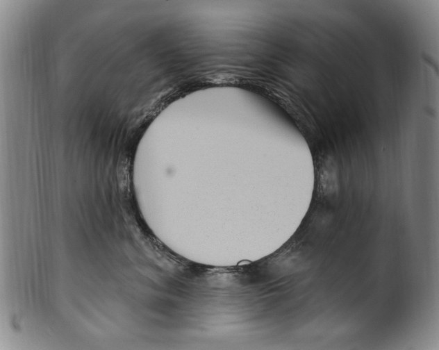 X0000099480620200806061247