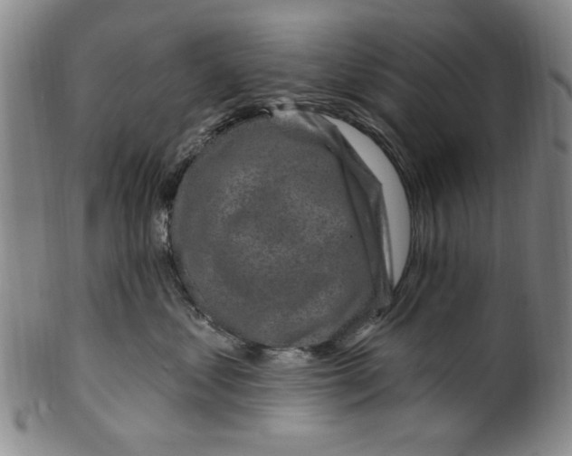 X0000099480621200806061247