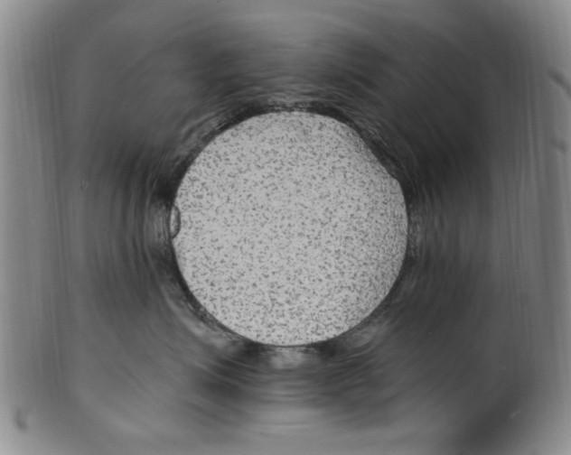 X0000099480623200806061247