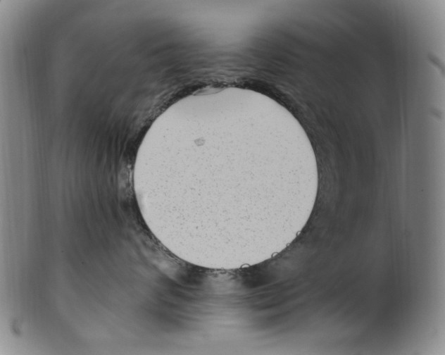 X0000099480624200806061247