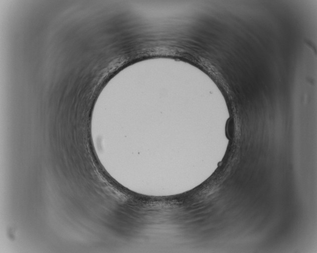 X0000099480625200806061246