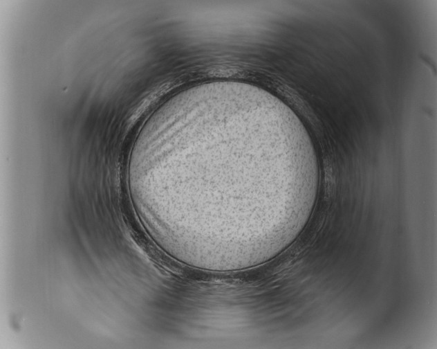 X0000099480626200806061246