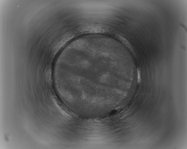 X0000099480627200806061246