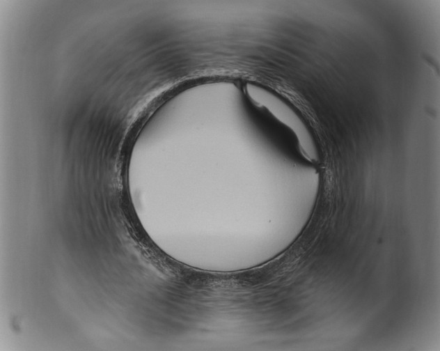 X0000099480628200806061246