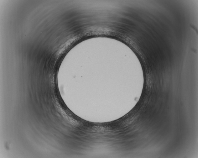 X0000099480629200806061246