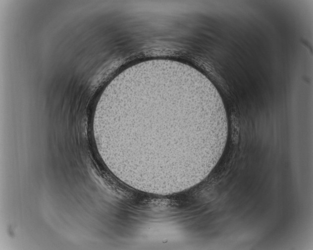X0000099480631200806061246