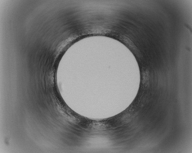 X0000099480632200806061246