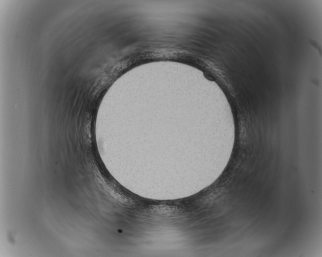 X0000099480633200806061246