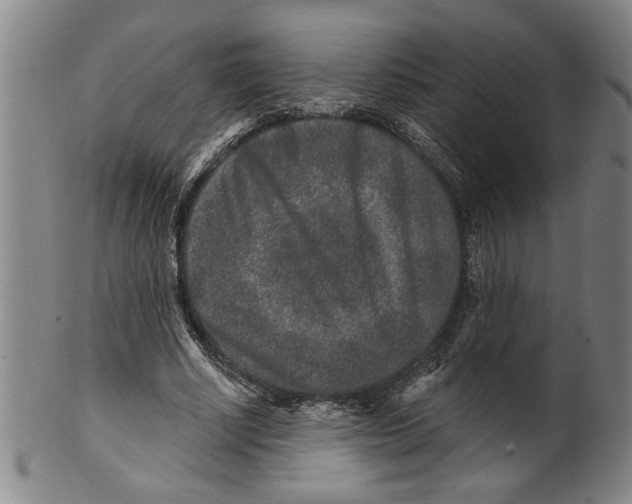 X0000099480634200806061246