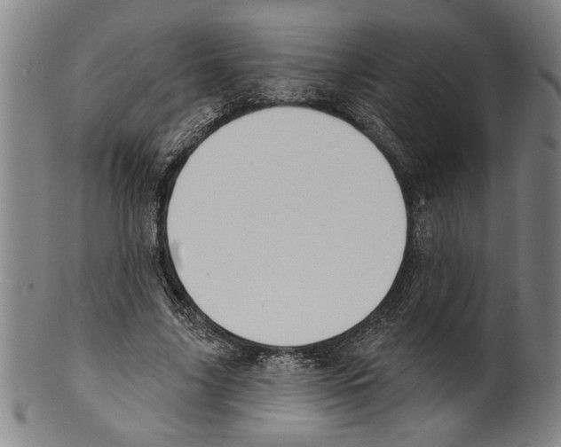 X0000099480635200806061246